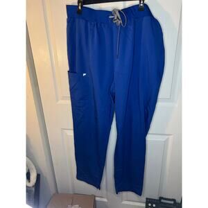 Fabletics scrub pants 2x